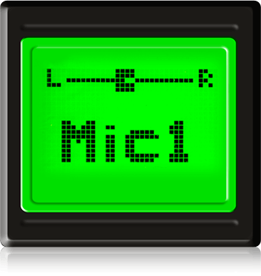 SW-LCD