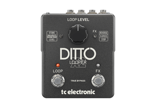 DITTO X2 LOOPER