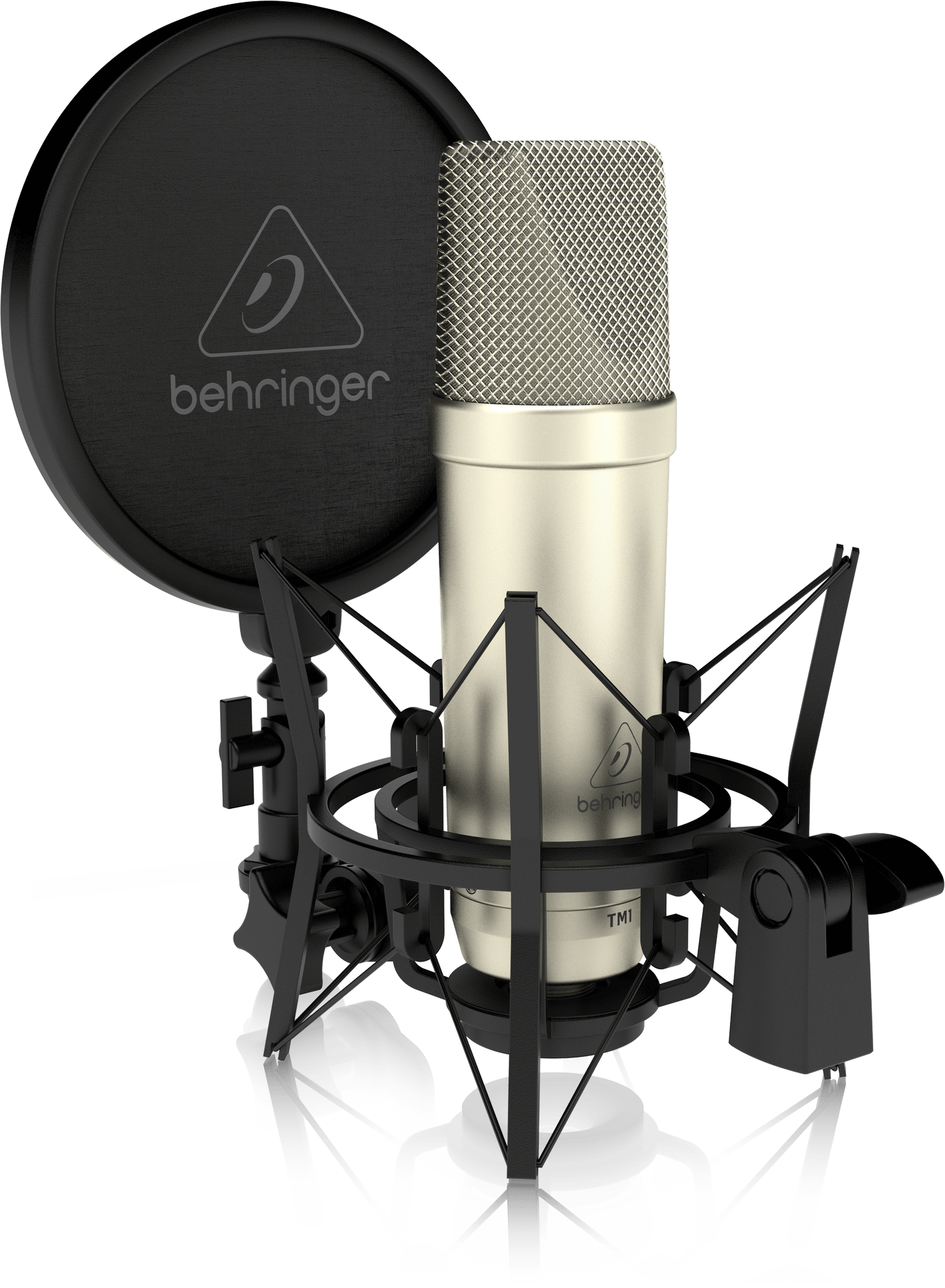 Complete Recording Package with Large Diaphragm