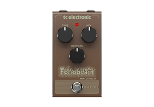 ECHOBRAIN ANALOG DELAY