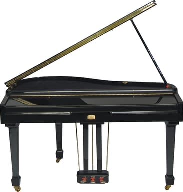 EG8080, image 3 of 5