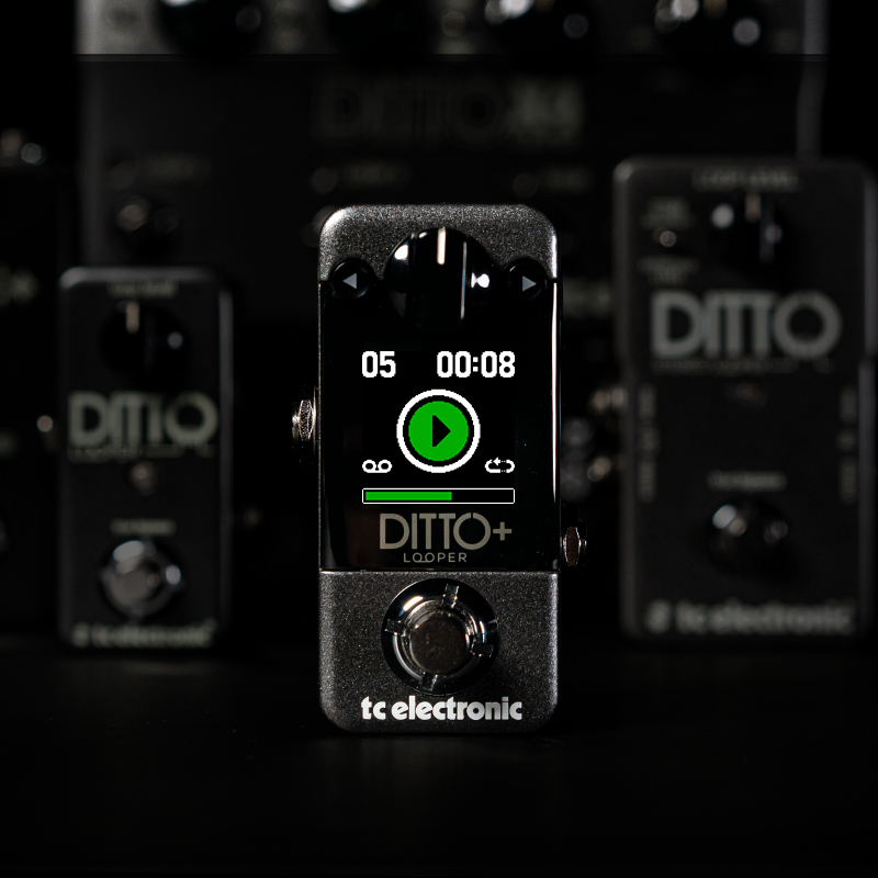 DITTO+ LOOPER | TC Electronic